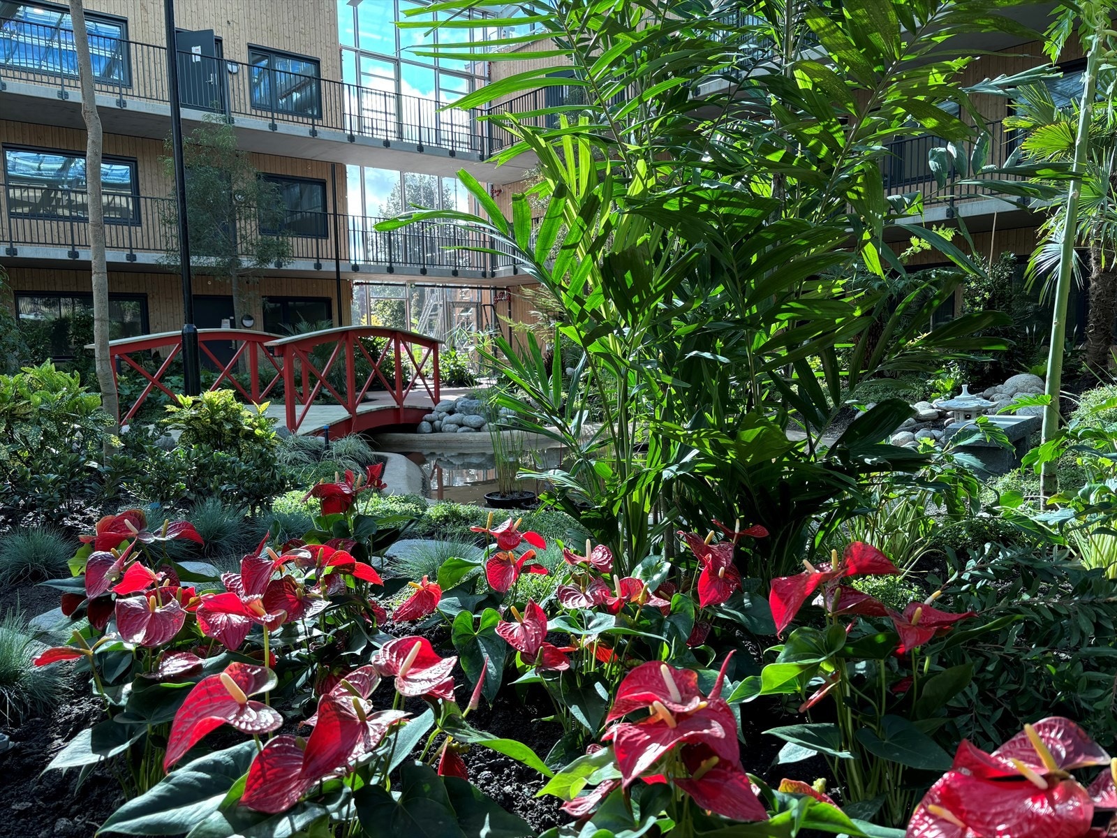 Stemningsbilde fra vinterhagen Galleribilde