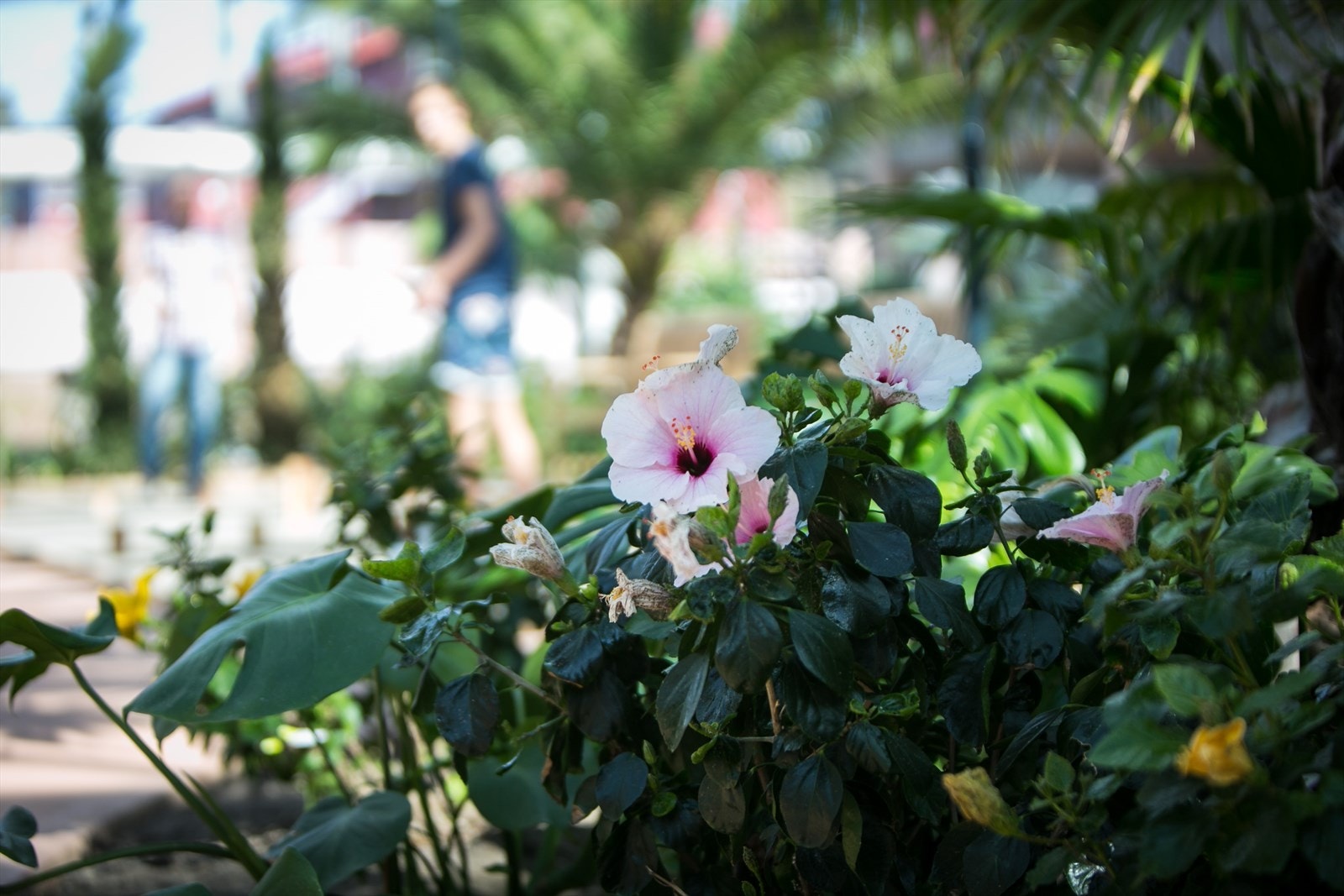 Stemningsbilde Galleribilde