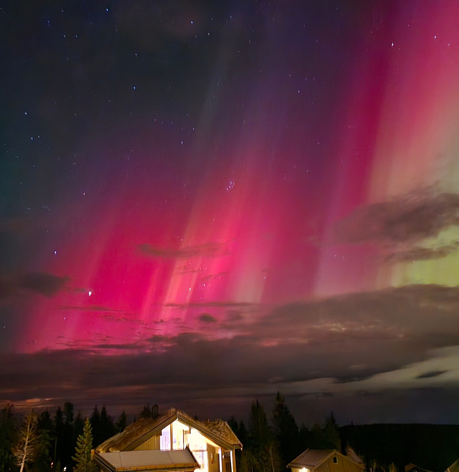 Fra Kubakken Galleribilde