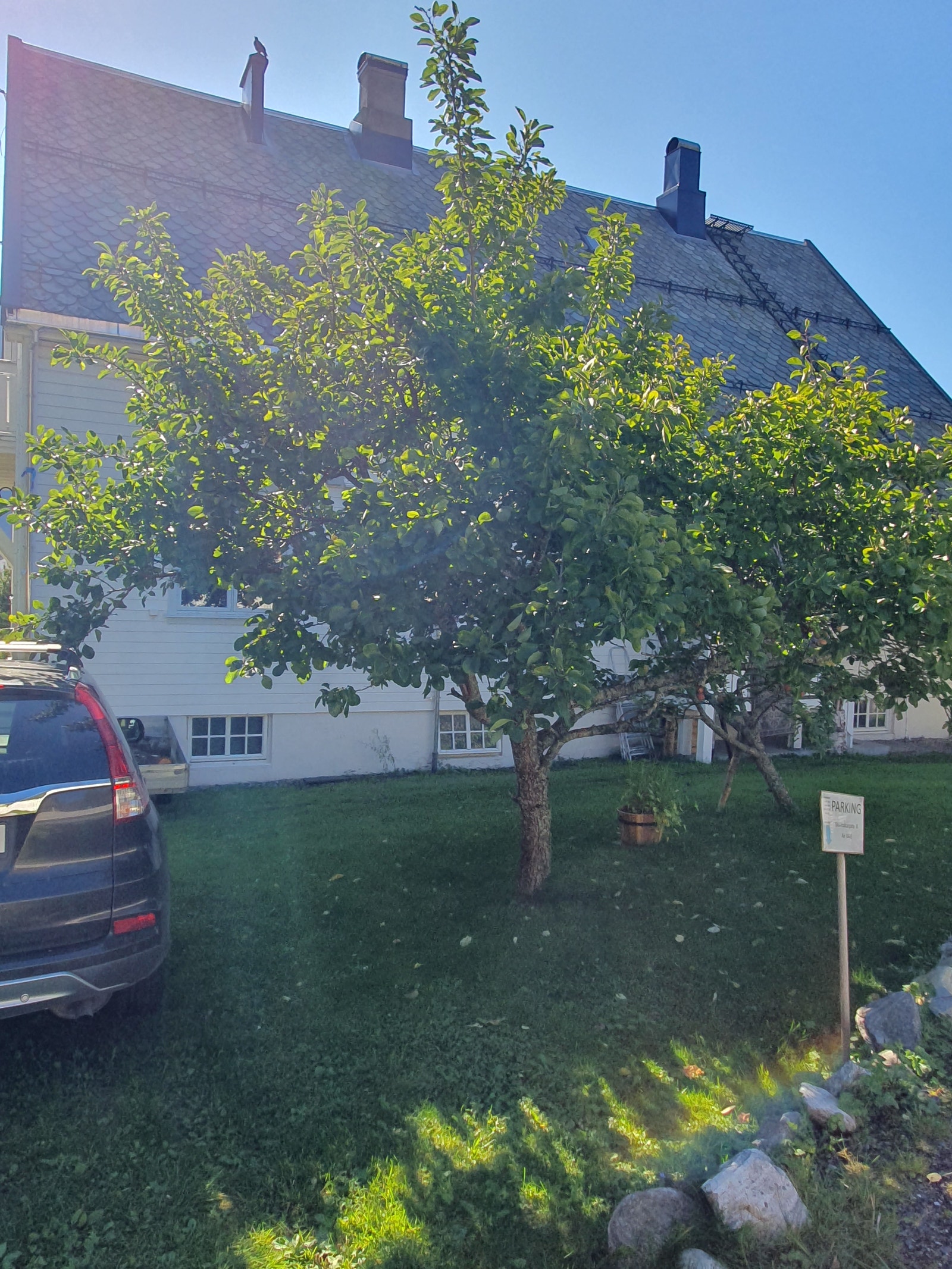 Deler av parkeringsplassen Galleribilde