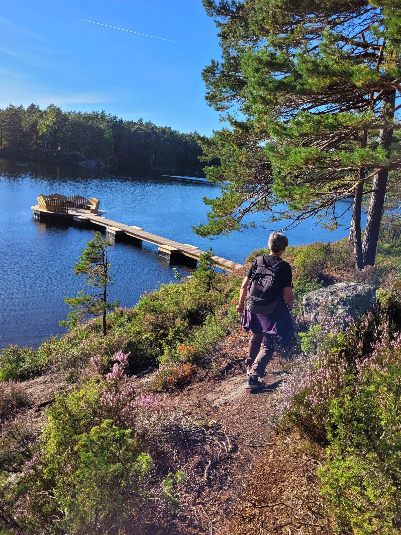 Flotte stier og turmuligheter Galleribilde