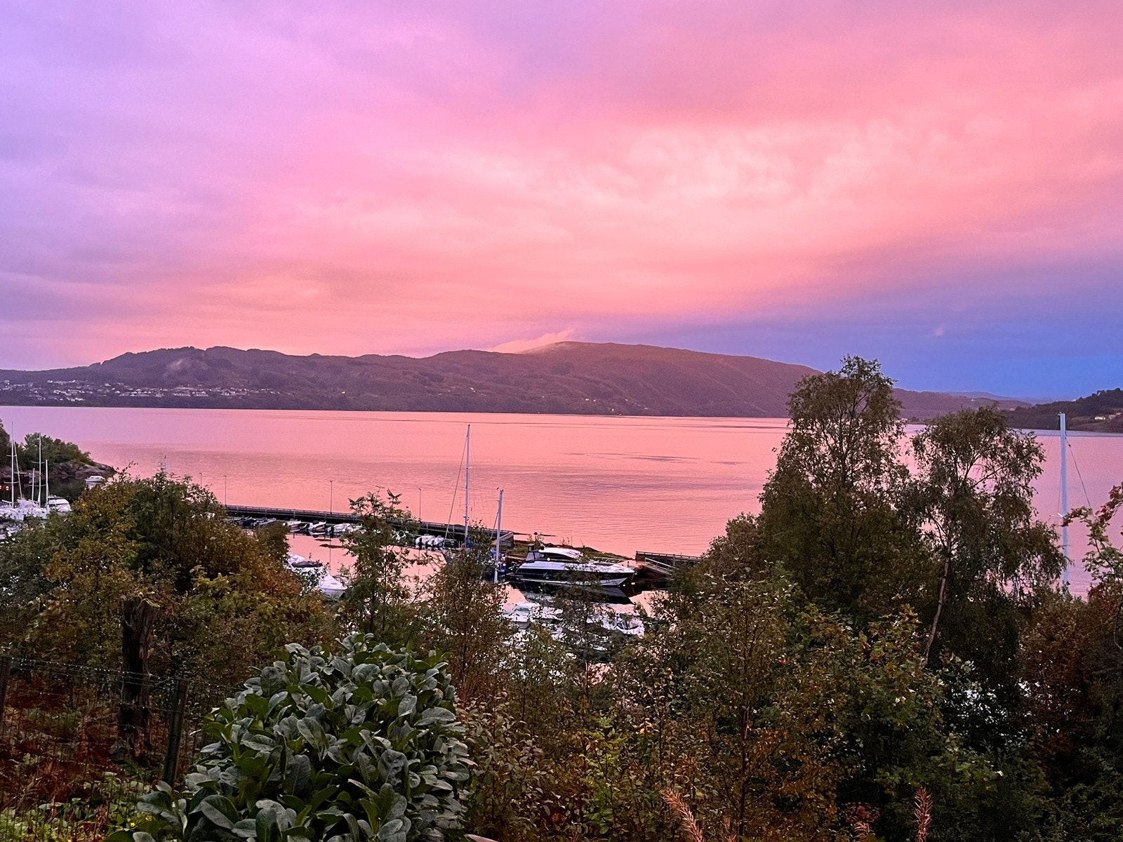 Flotte solnedganger Galleribilde