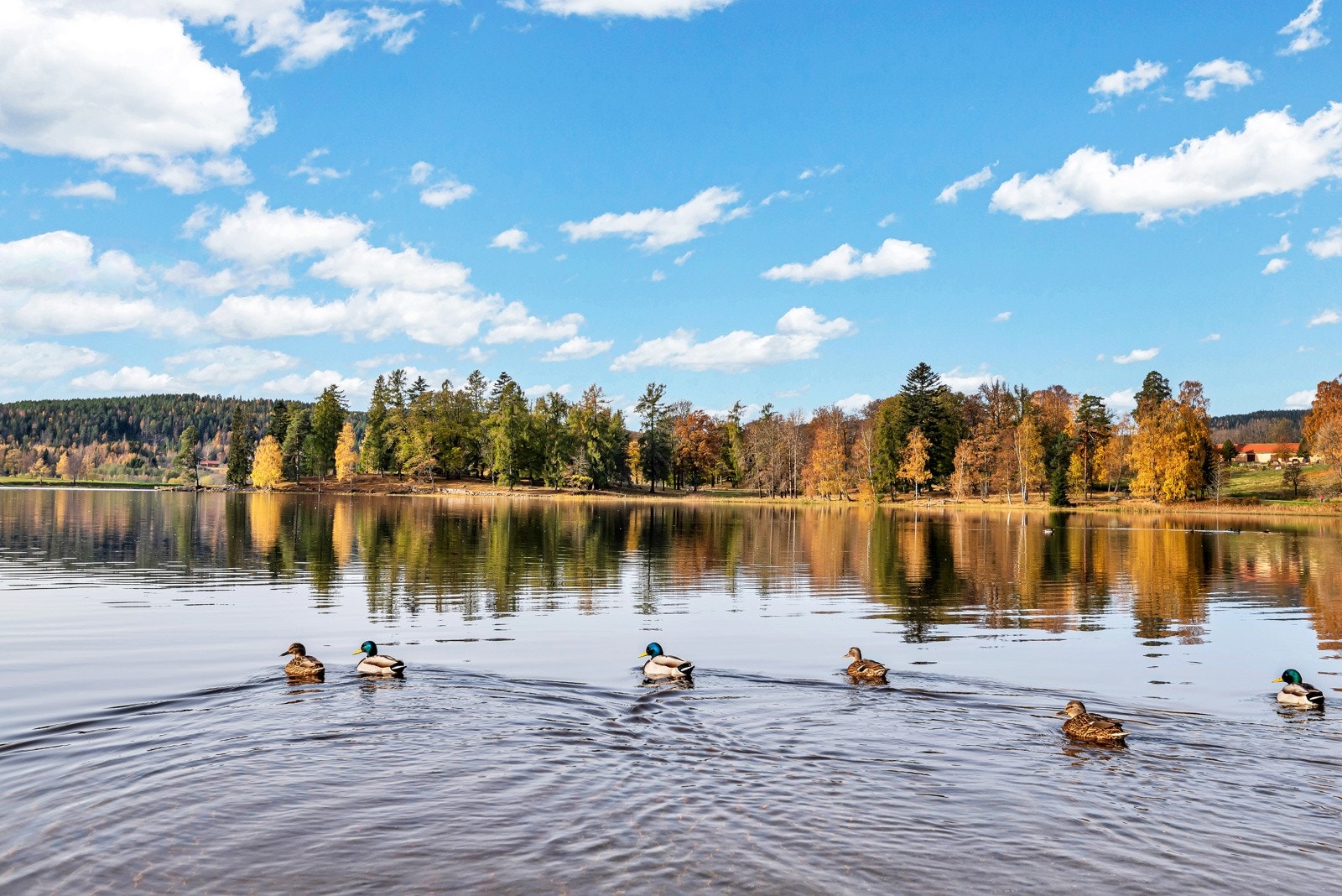 Områdebilde Bogstadvannet. Galleribilde
