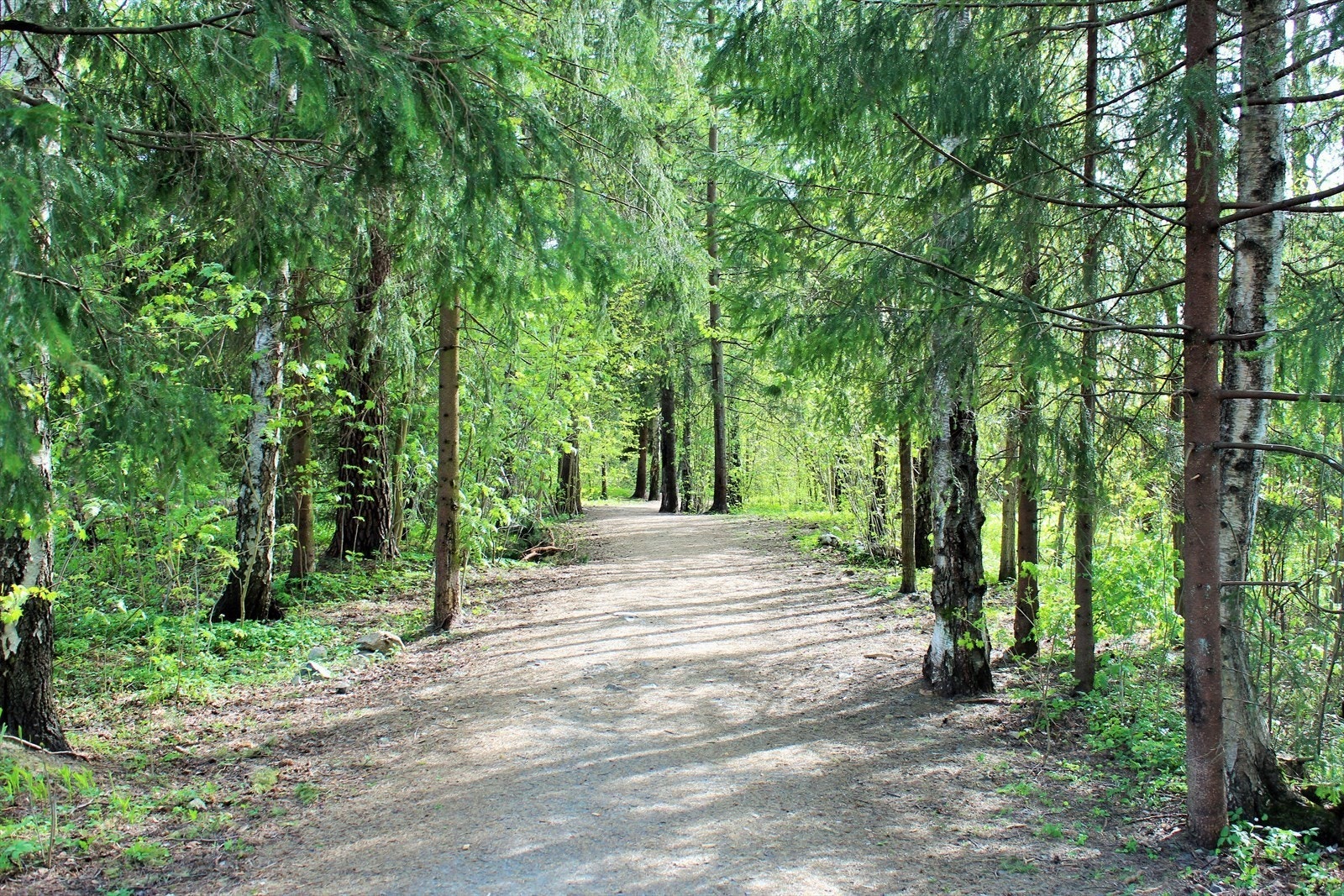 Områdebilde fra skiløypa fra Ullernkollen og ned mot Åsjordet stasjon. Galleribilde