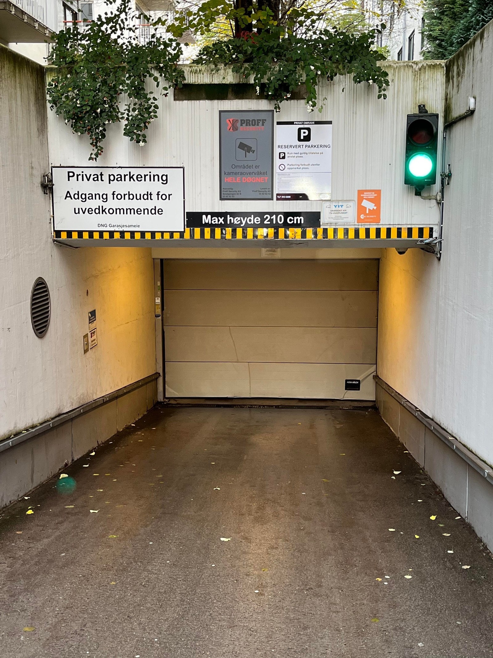 Inngang #2 - Rubina Ranas Gate Galleribilde