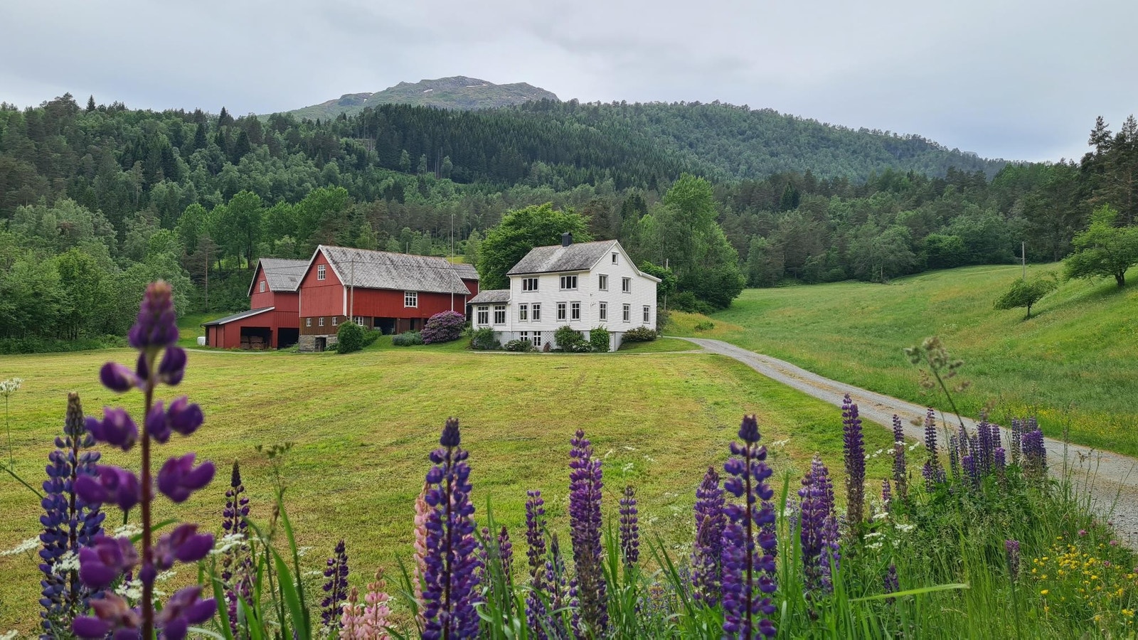 Gardstunet og huset sett frå Rv651 Galleribilde