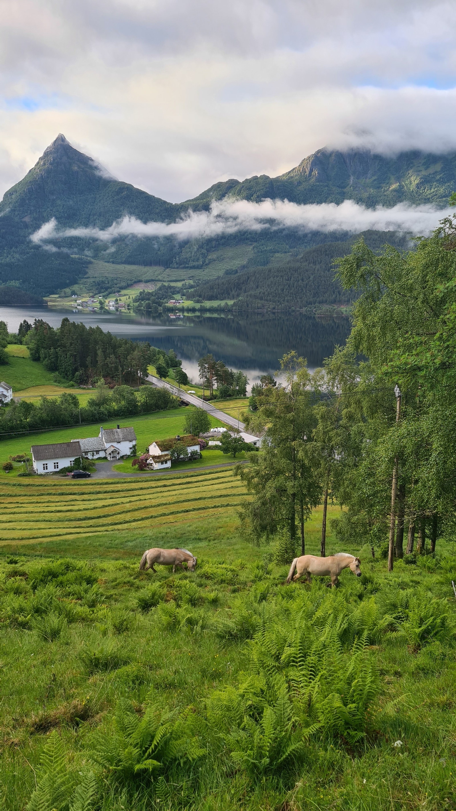 Keipen ligg karakteristisk i nordenden av Bjørkedalsvatnet Galleribilde
