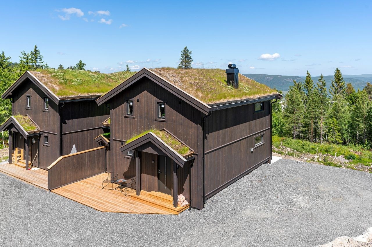 illustrasjons bilde Galleribilde