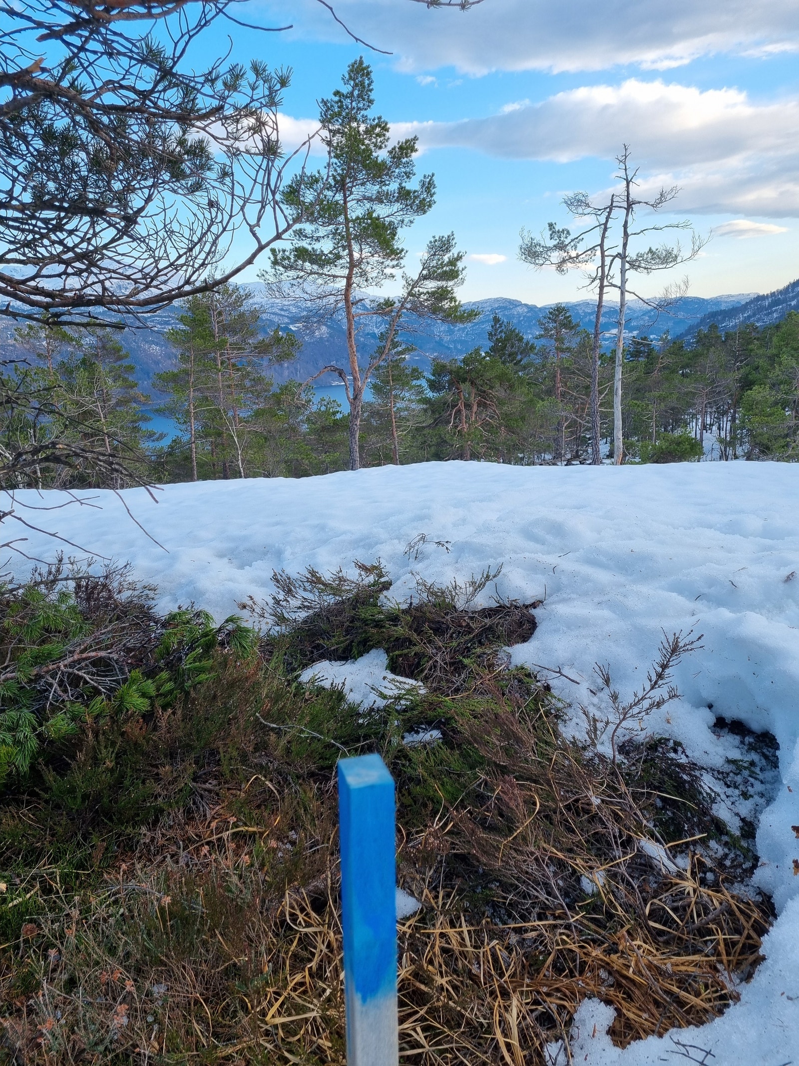 Tomter er markert med pinne i terrenget Galleribilde