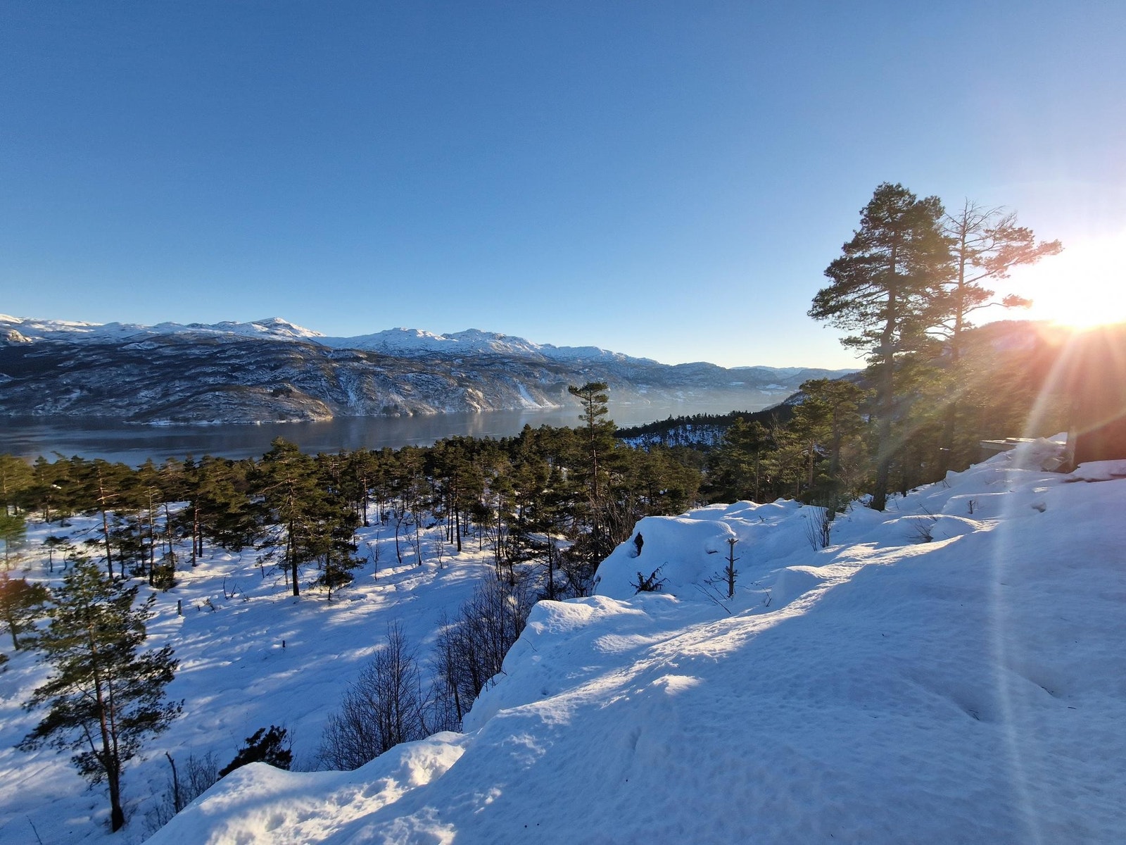 Mot Sør Galleribilde