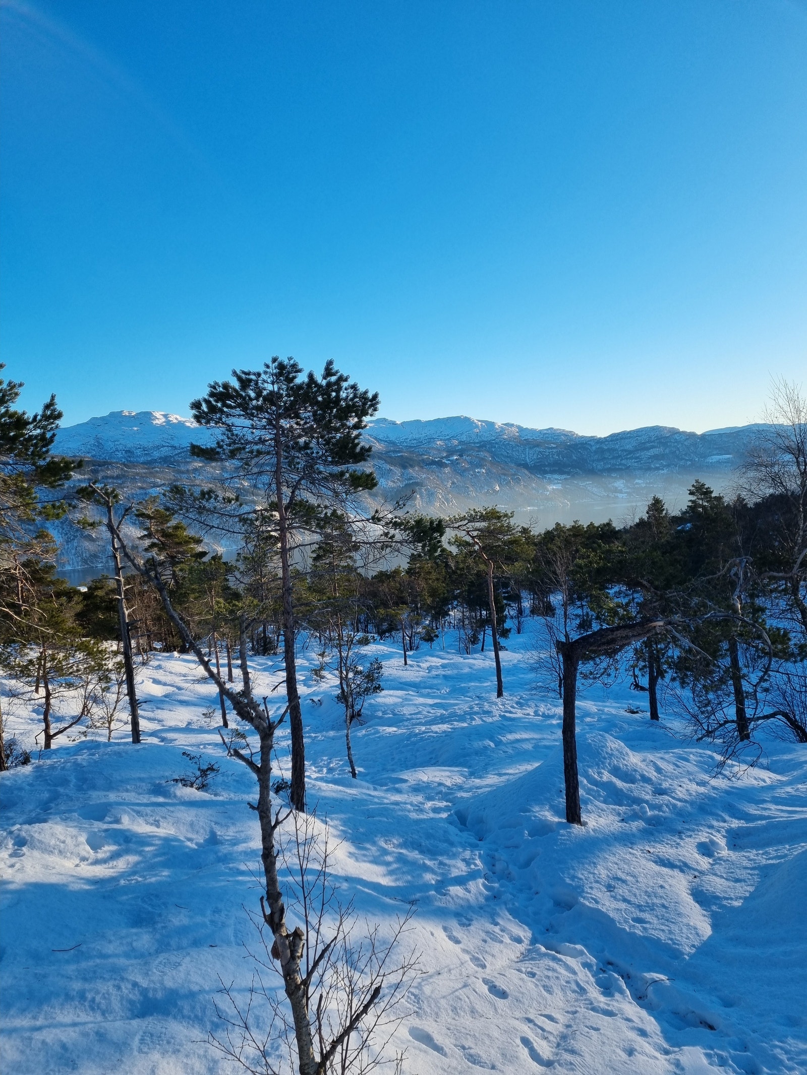 Mot Sør Galleribilde