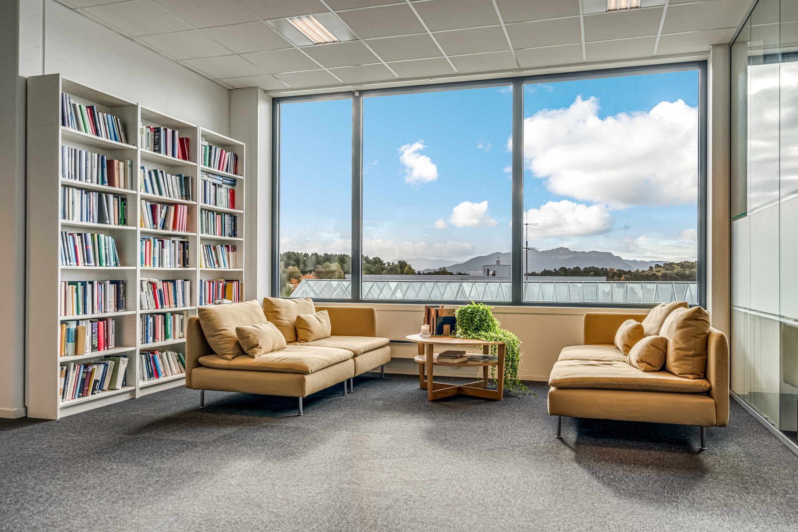 Fellesareal Galleribilde