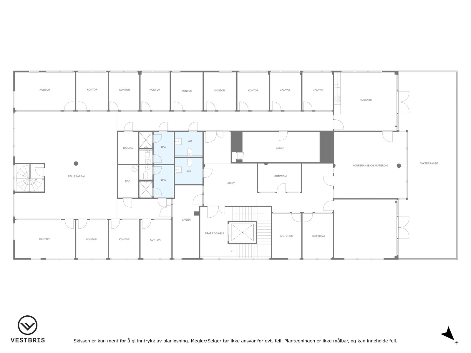 Planteikning Galleribilde