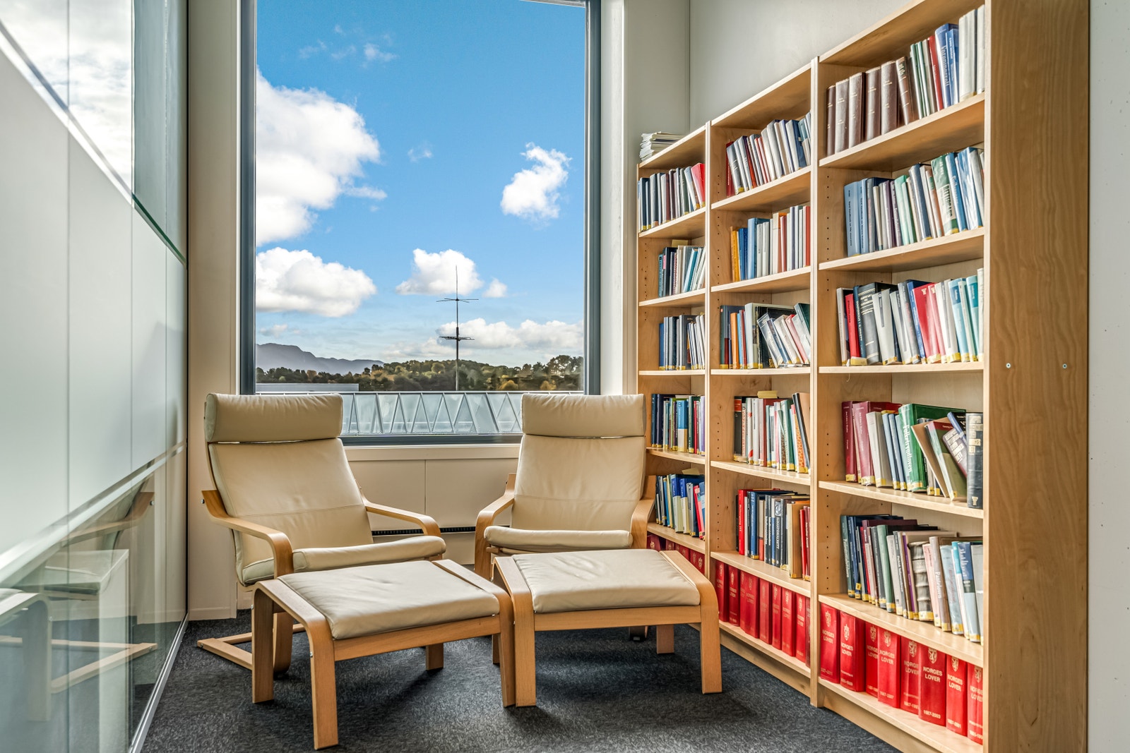 Myldreareal Galleribilde