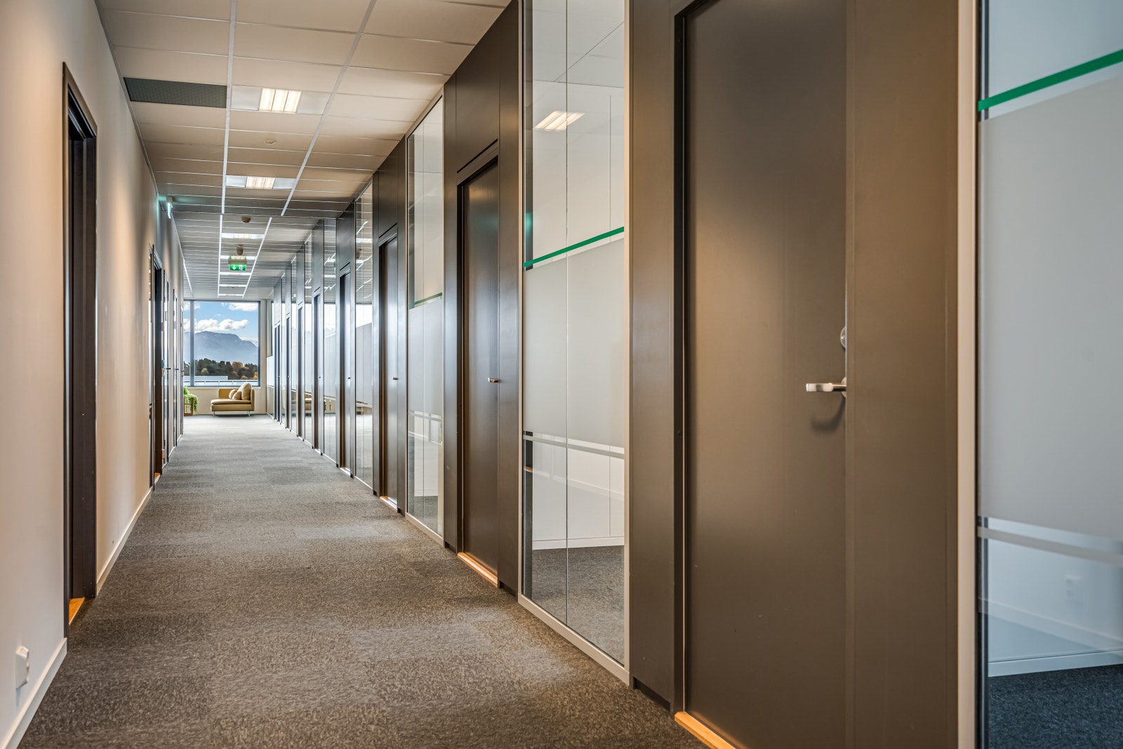 Felleareal Galleribilde