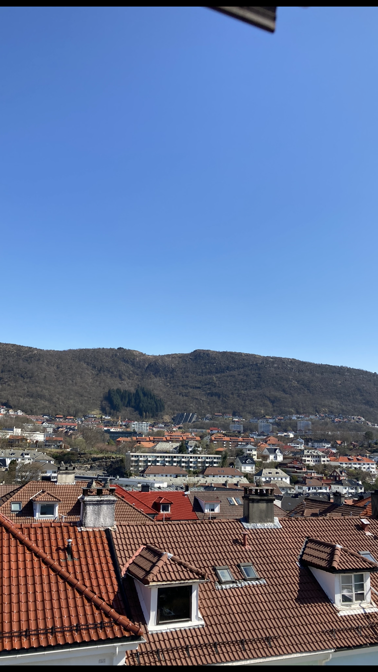 Utsikt mot Ulriken, Fløyen og deler av Bergen sentrum Galleribilde