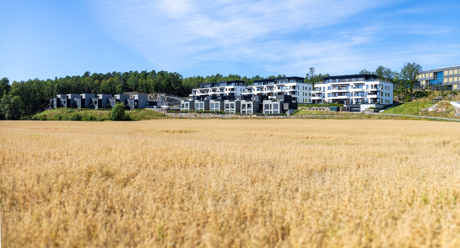 Områdebilder Galleribilde