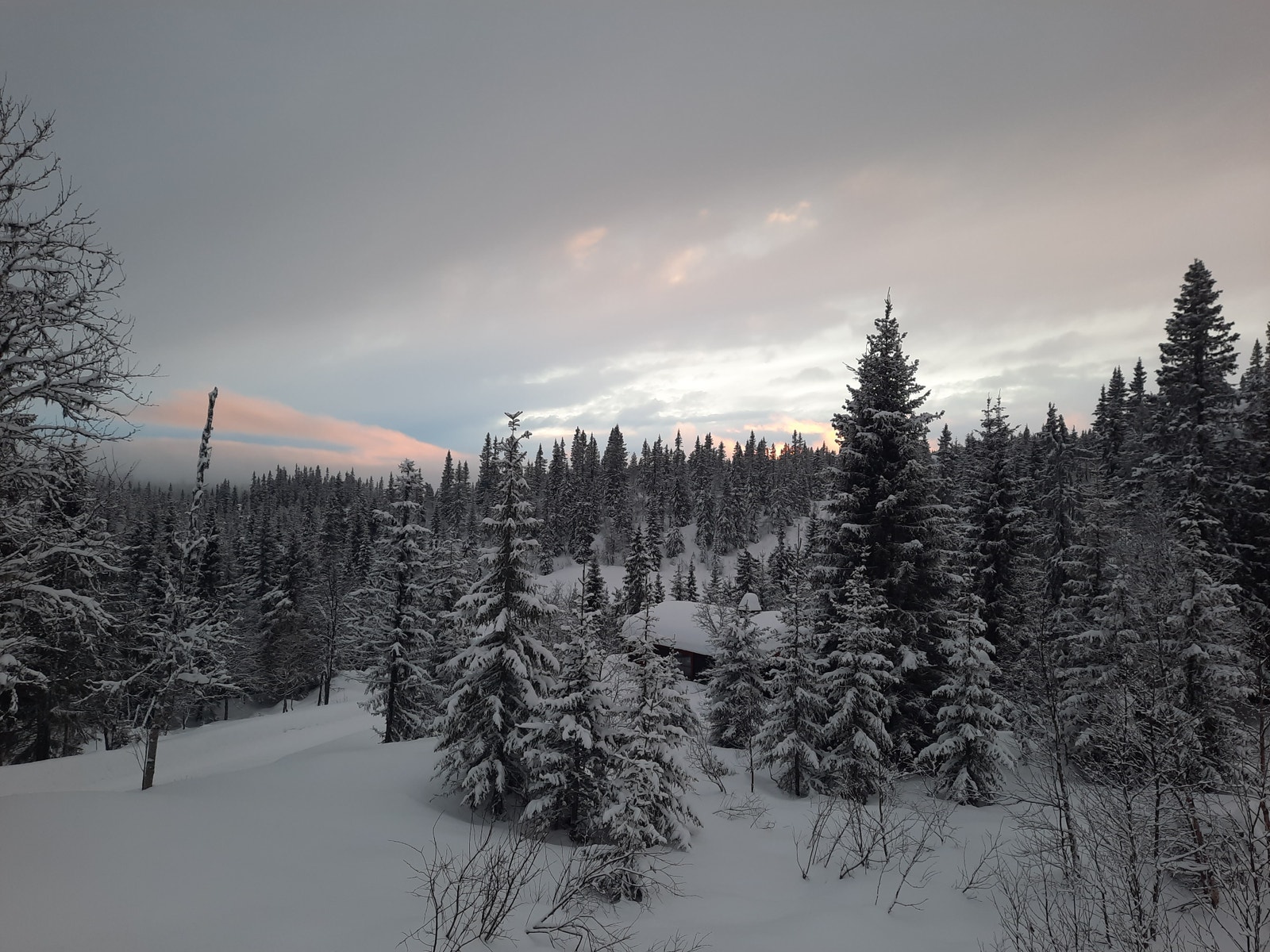 Desember Galleribilde
