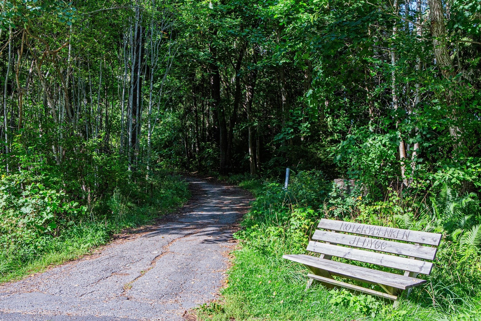 Tursti på Sole Galleribilde