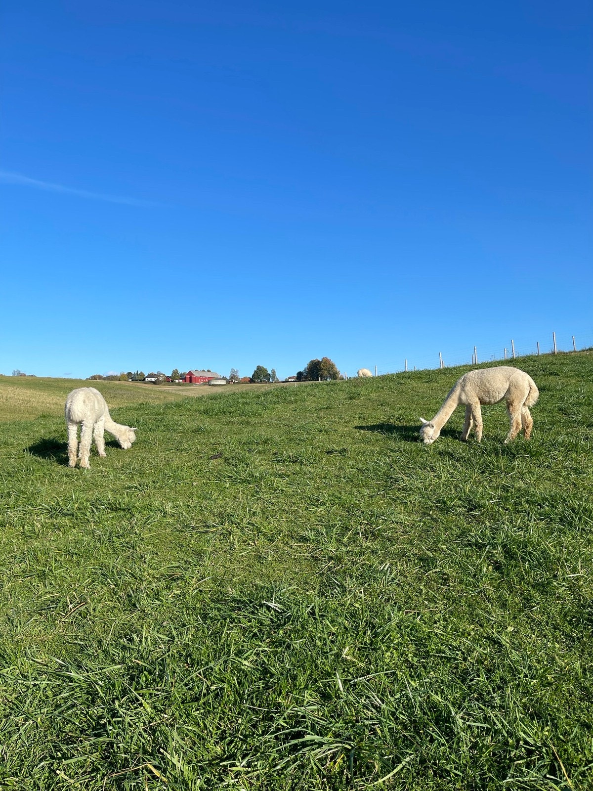 Fine turmuligheter i nærheten Galleribilde