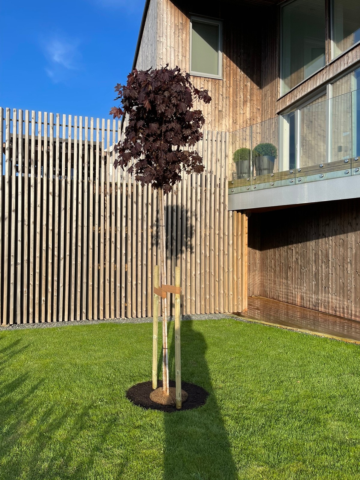 Terrasse og uteområde Galleribilde