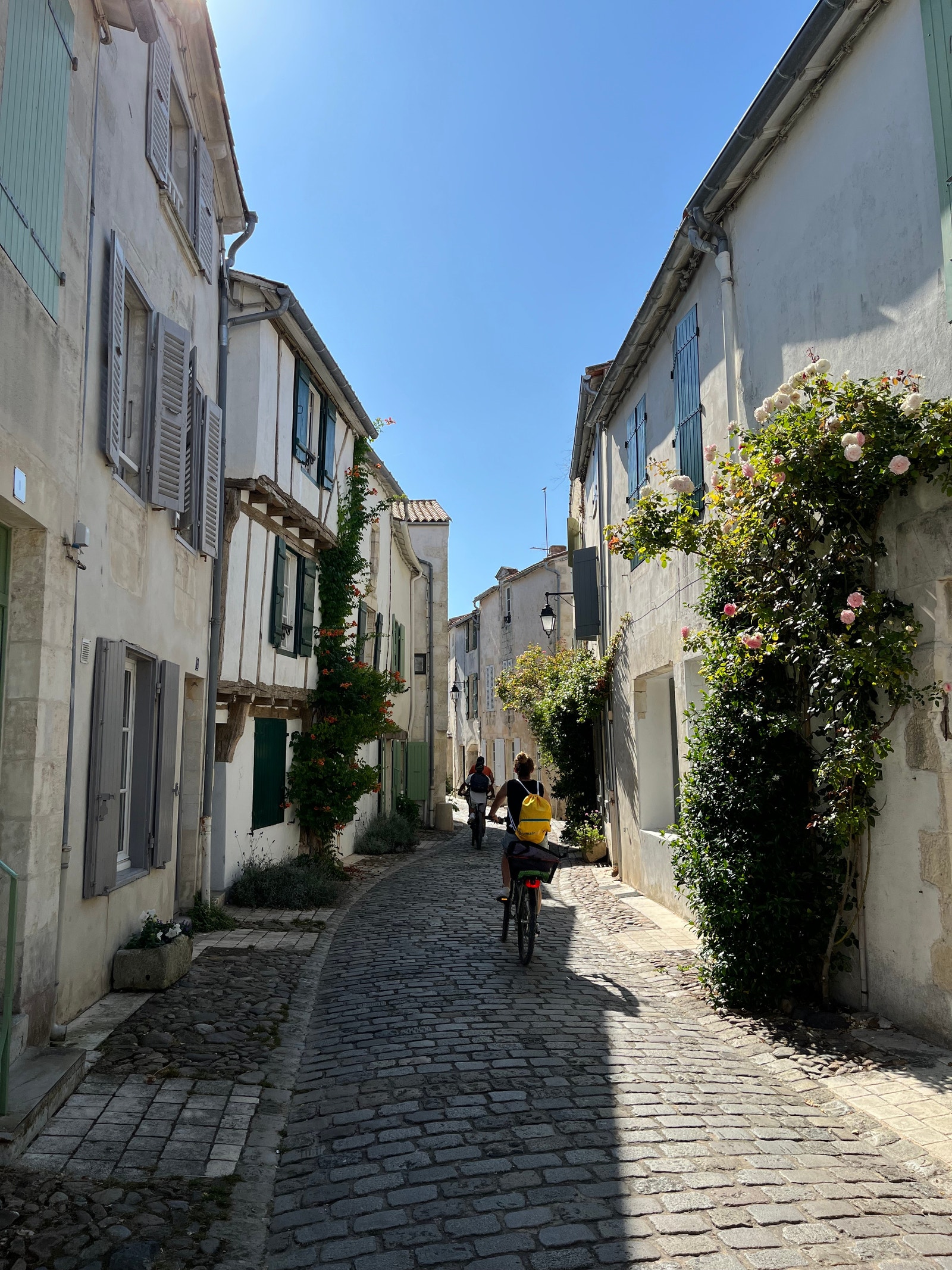 Ile de Re Galleribilde