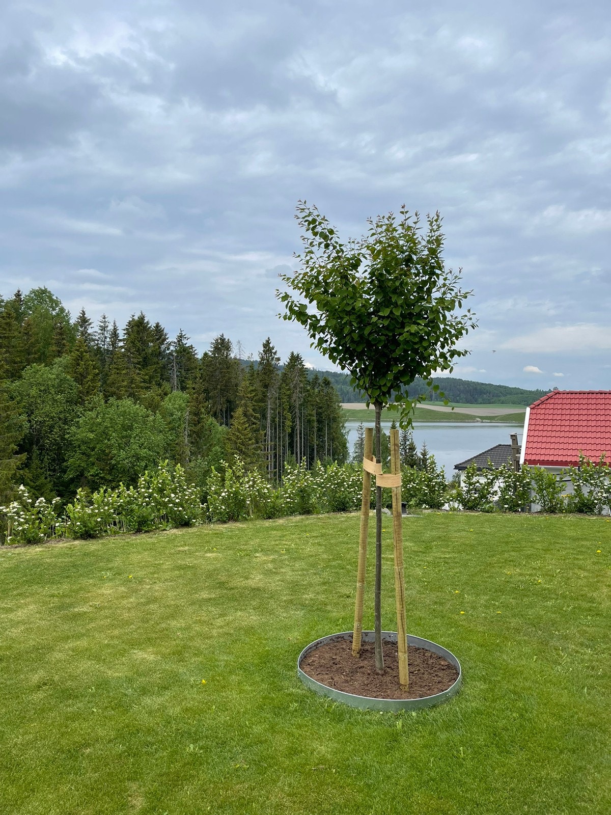 Skogen og Glomma som nærmeste nabo Galleribilde