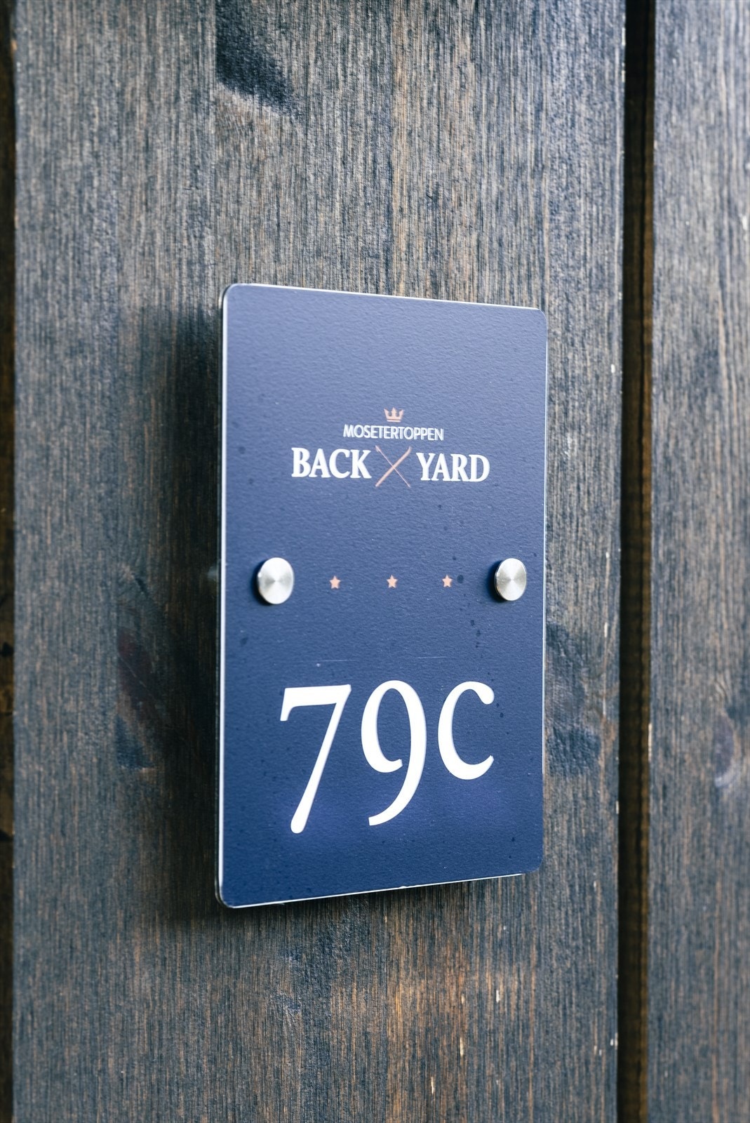 Backyard Mai-48.jpg Galleribilde