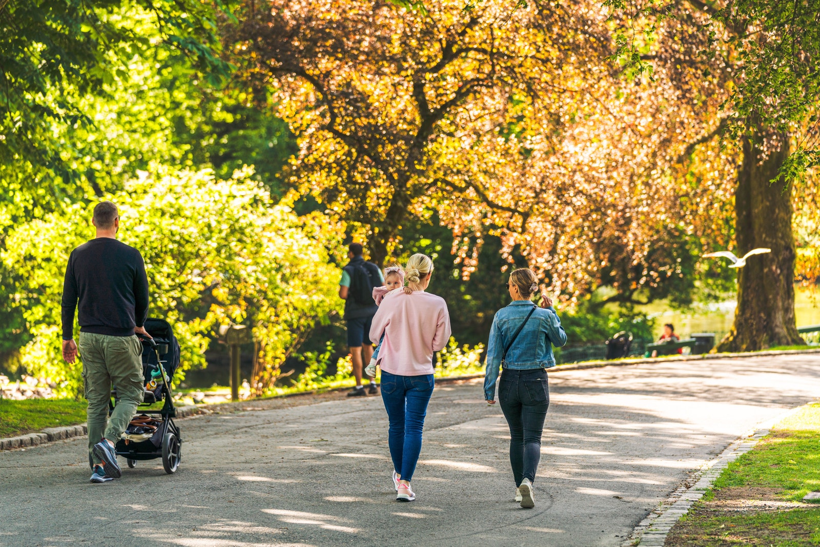 Ta en morgentur i de fine parkene i området, her fra Nygårdsparken Galleribilde