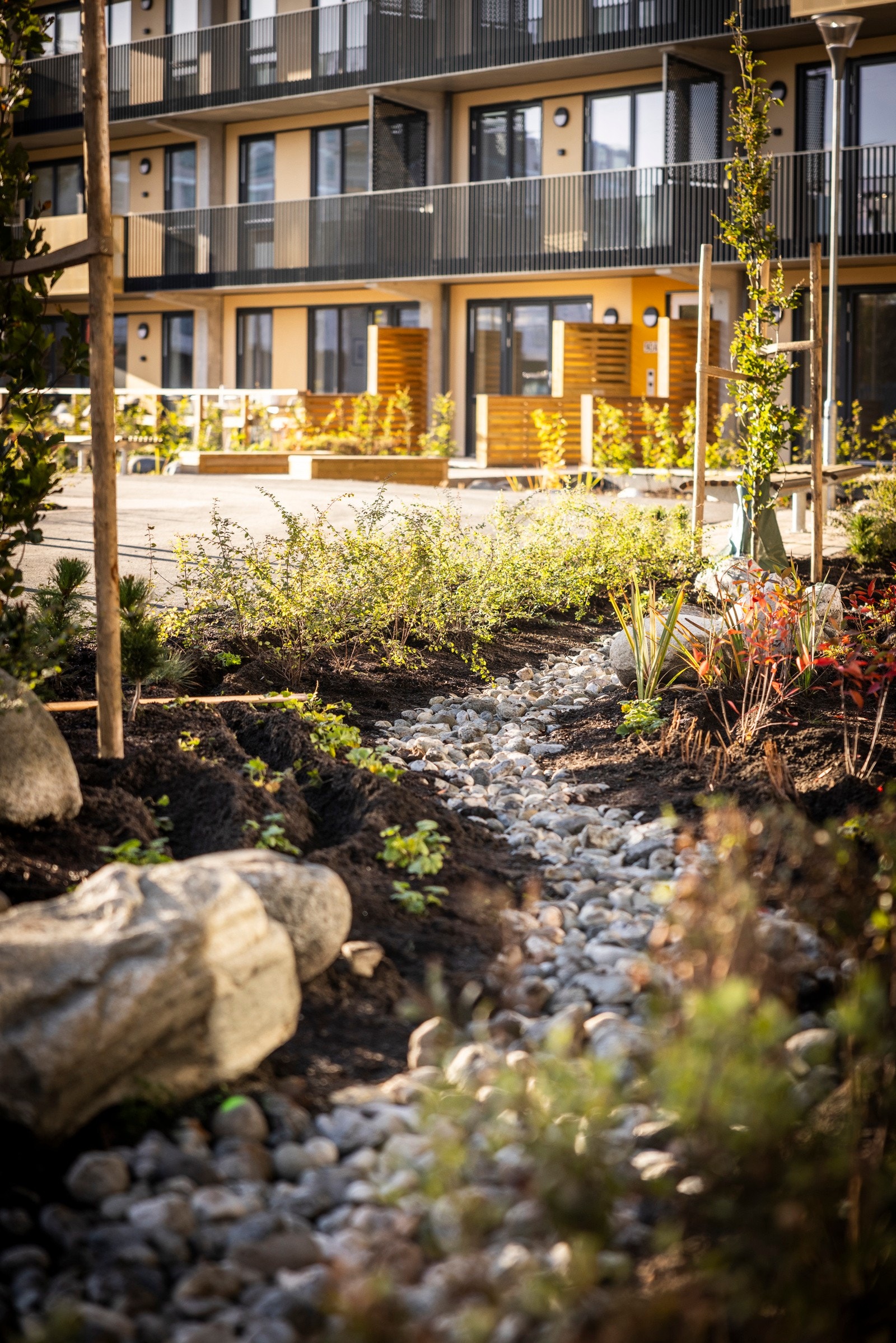 Det er lagt stor vekt på et innbydende, vakkert og funksjonelt gårdsrom hvor alle skal kunne trives Galleribilde