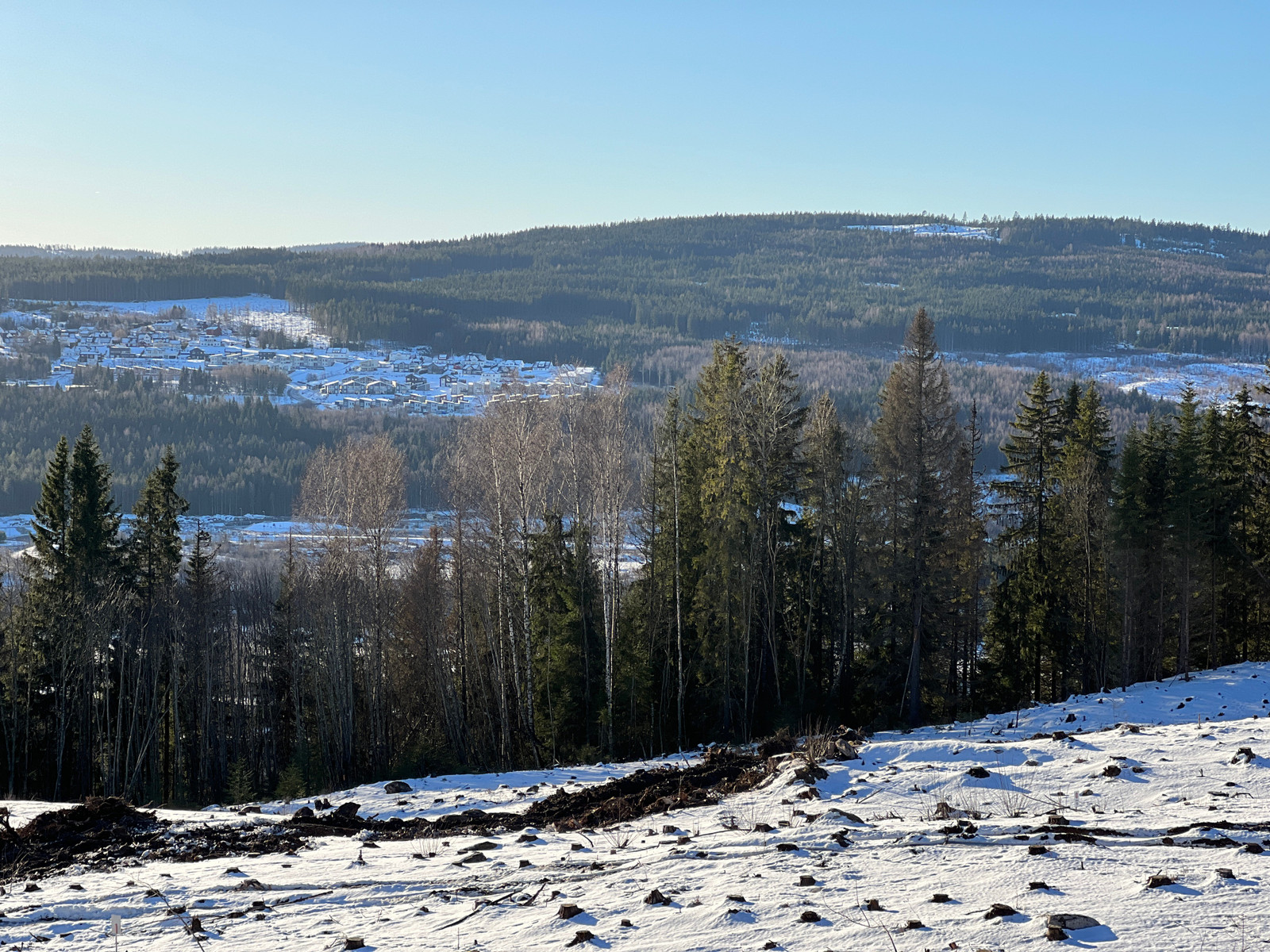 Bilde fra tomta