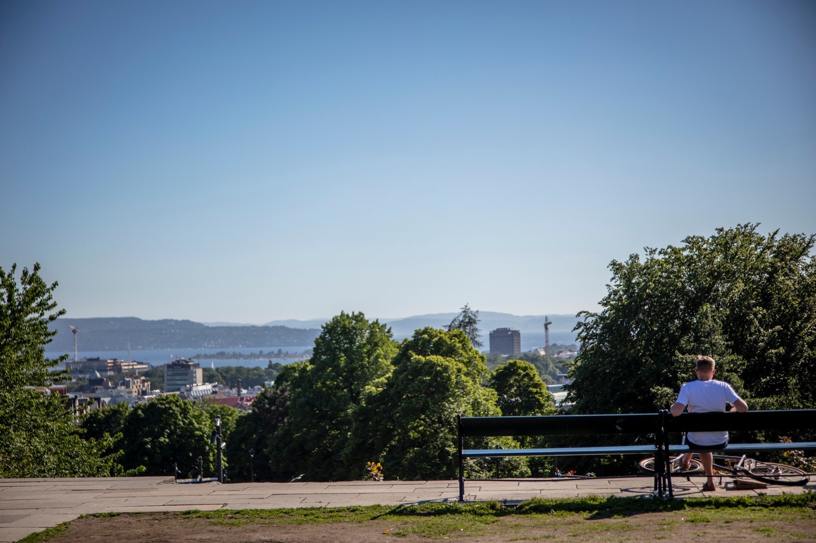 St.hanshaugparken sommerstid Galleribilde