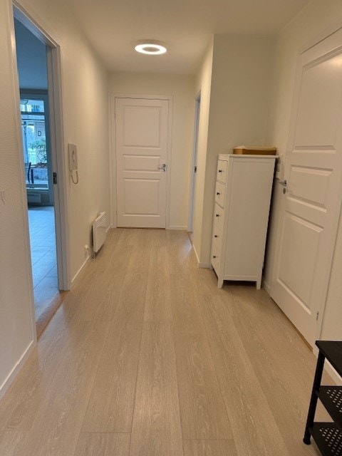 Entre Galleribilde
