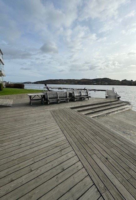Fellesareal Galleribilde