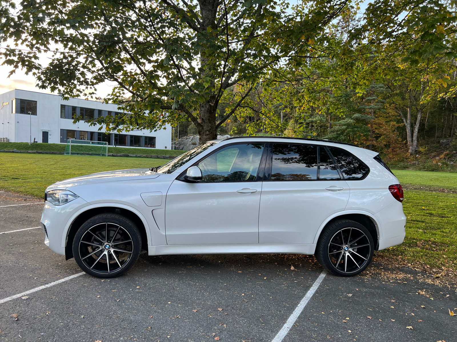BMW X5 X5 xDrive40e iPerformance 3