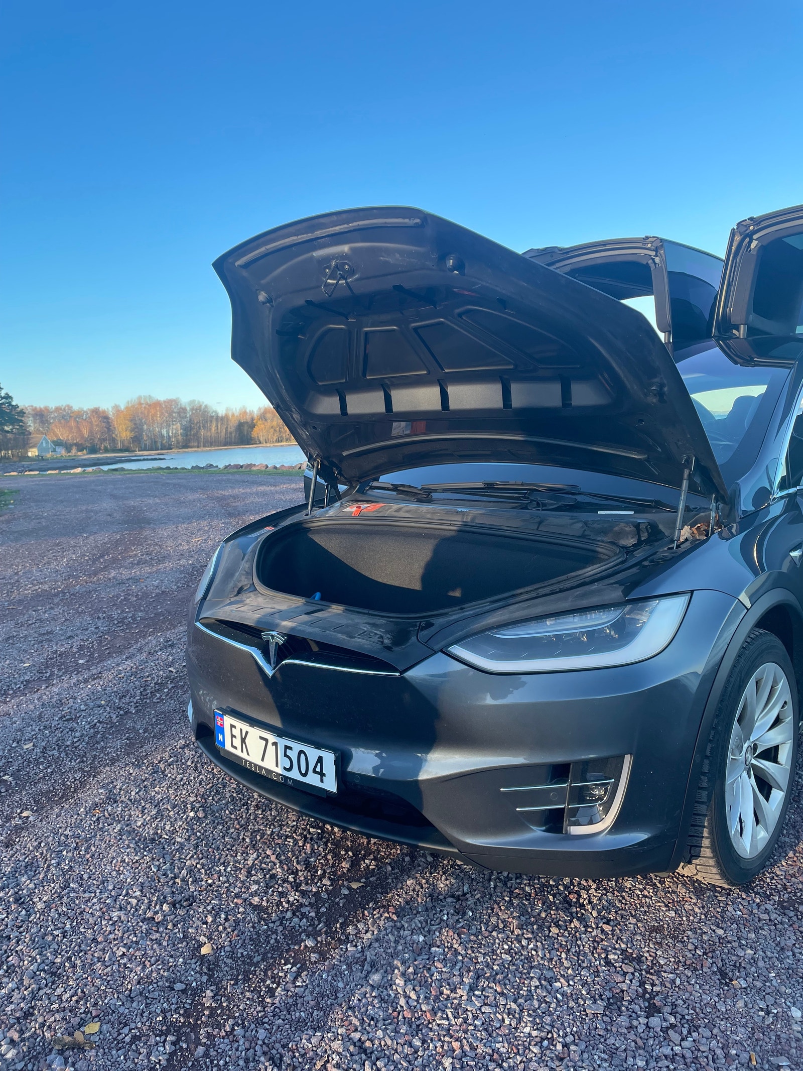 Tesla Model X 7