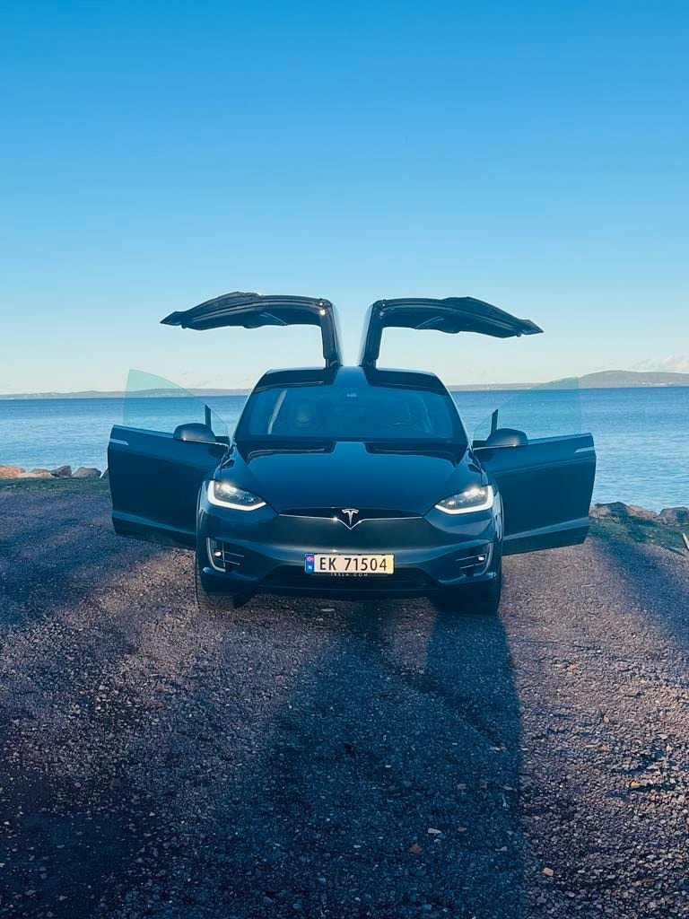 Tesla Model X 4
