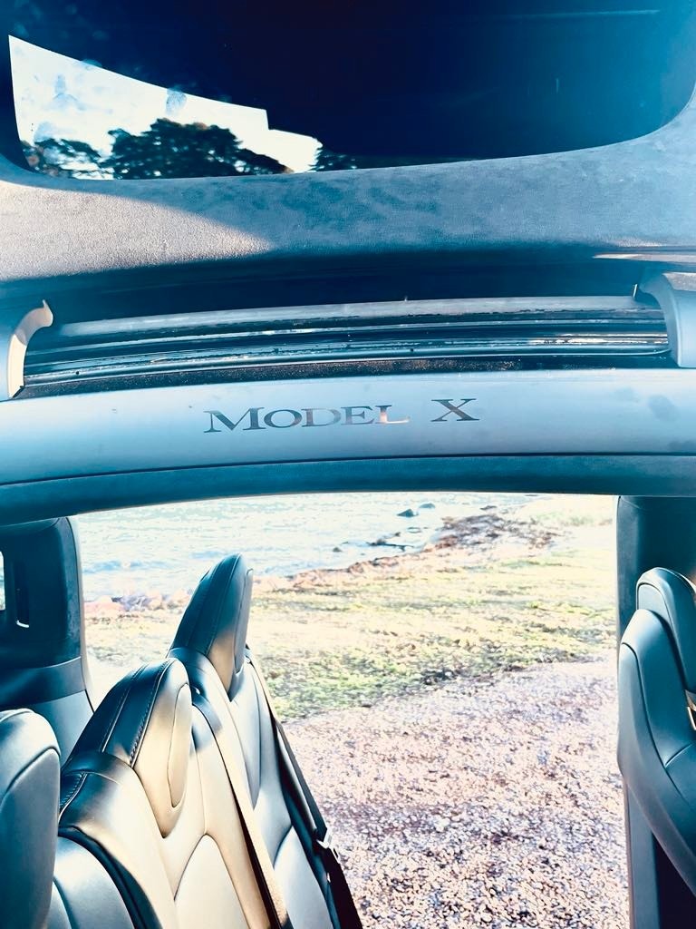 Tesla Model X 19