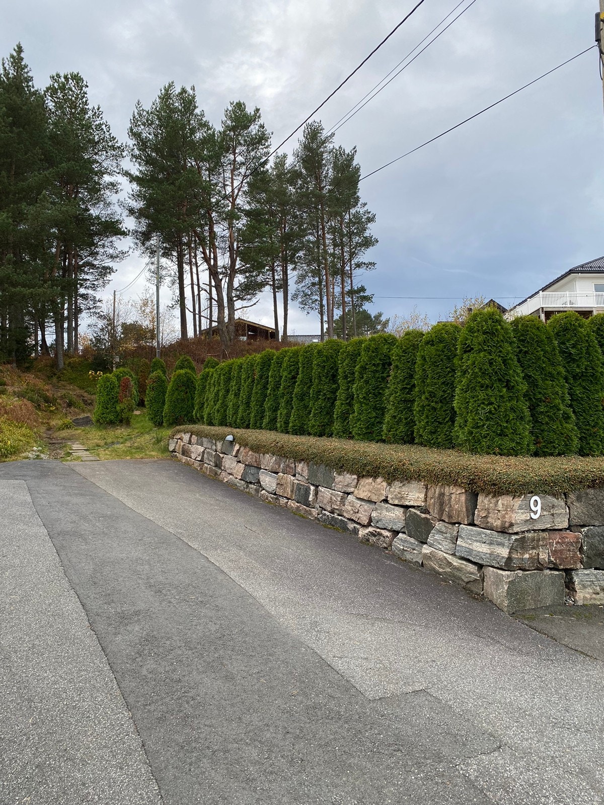 Egen parkeringsplass til en bil. Galleribilde