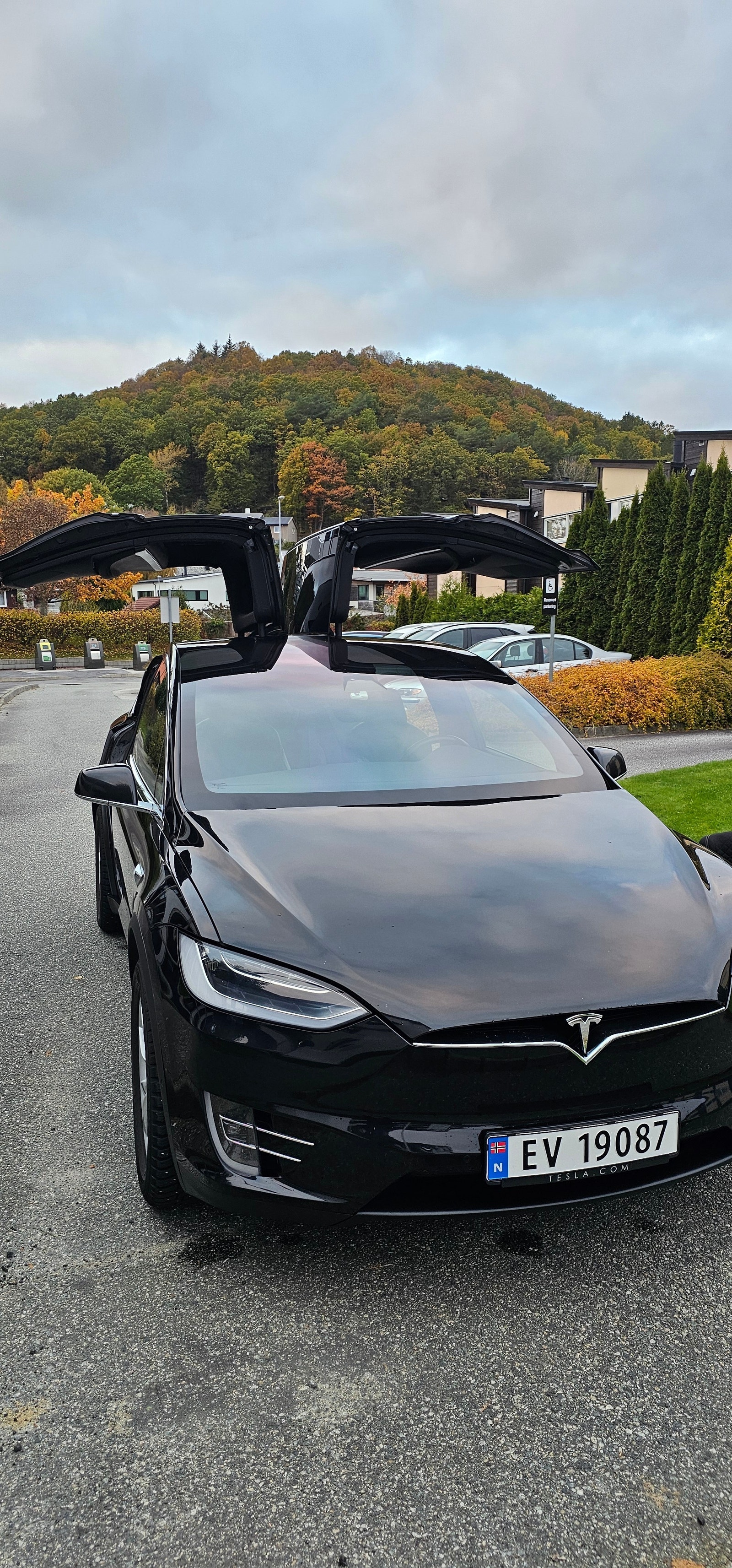 Tesla Model X 1