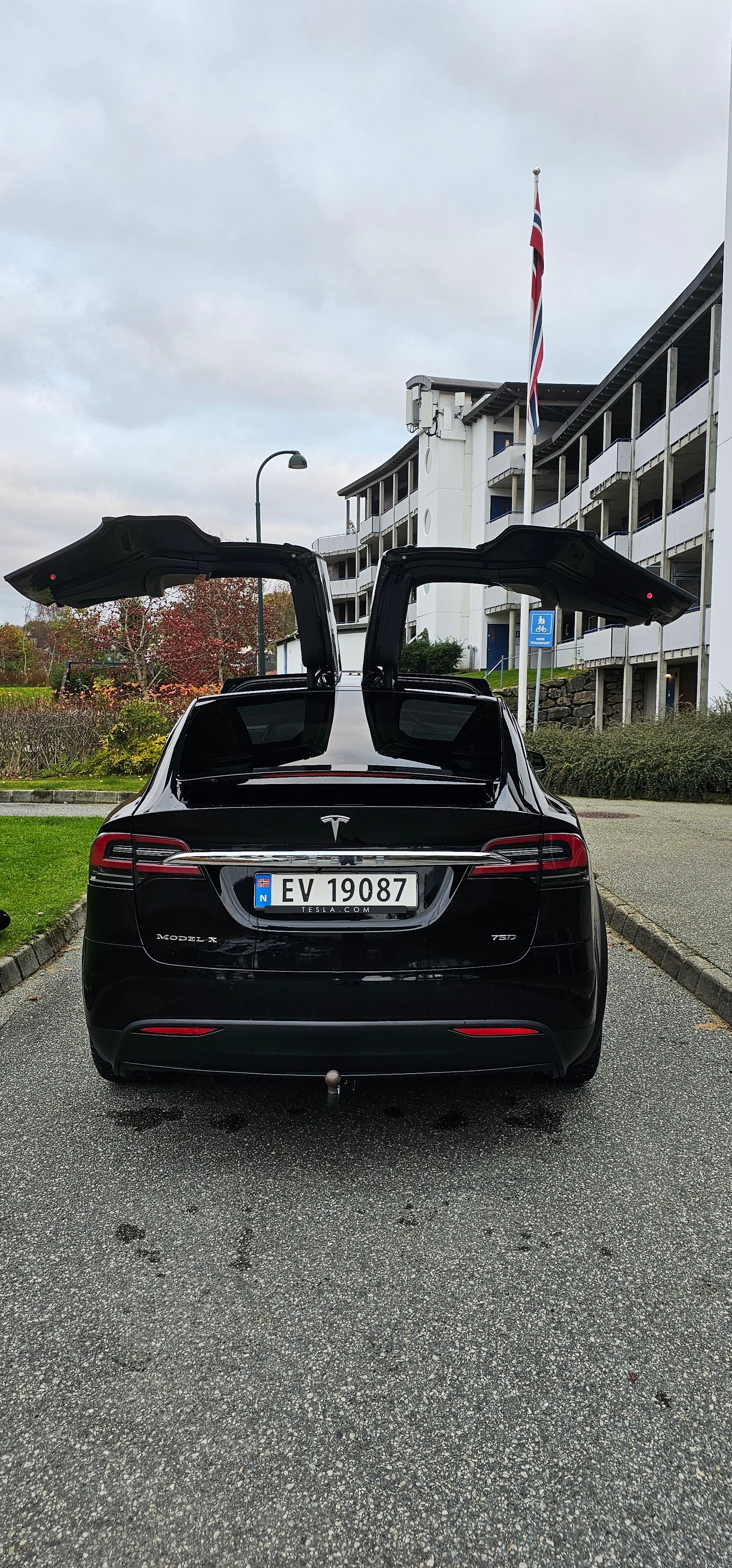 Tesla Model X 3