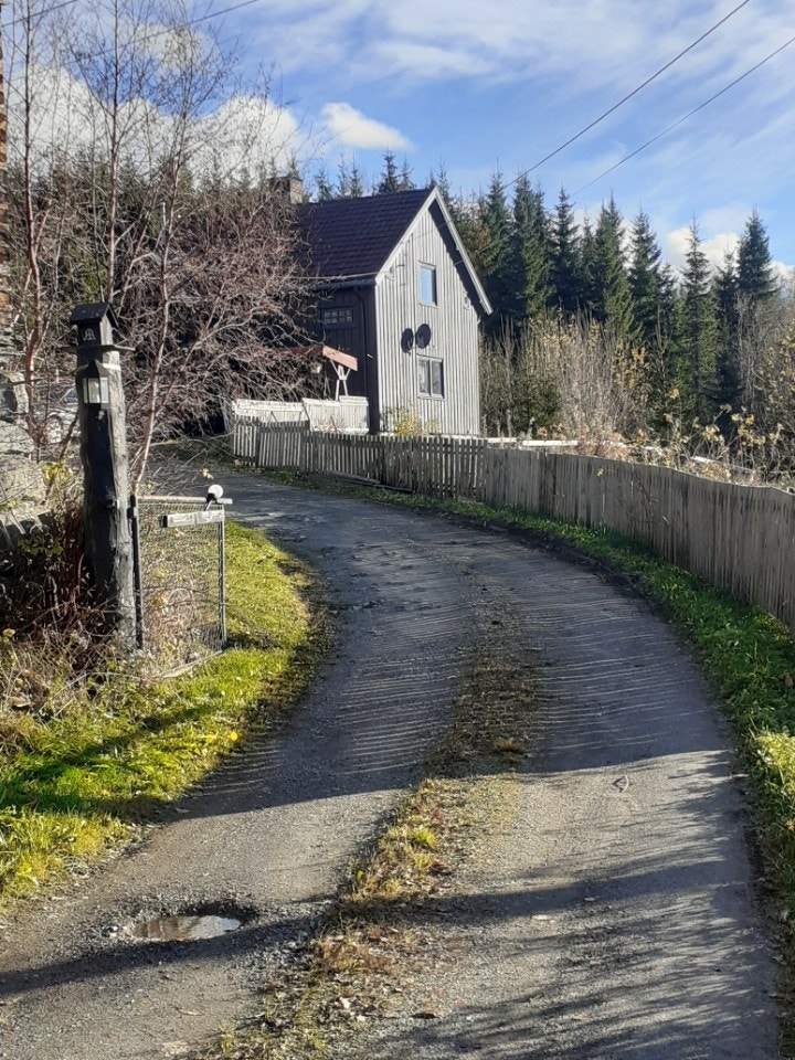 Landlig Galleribilde