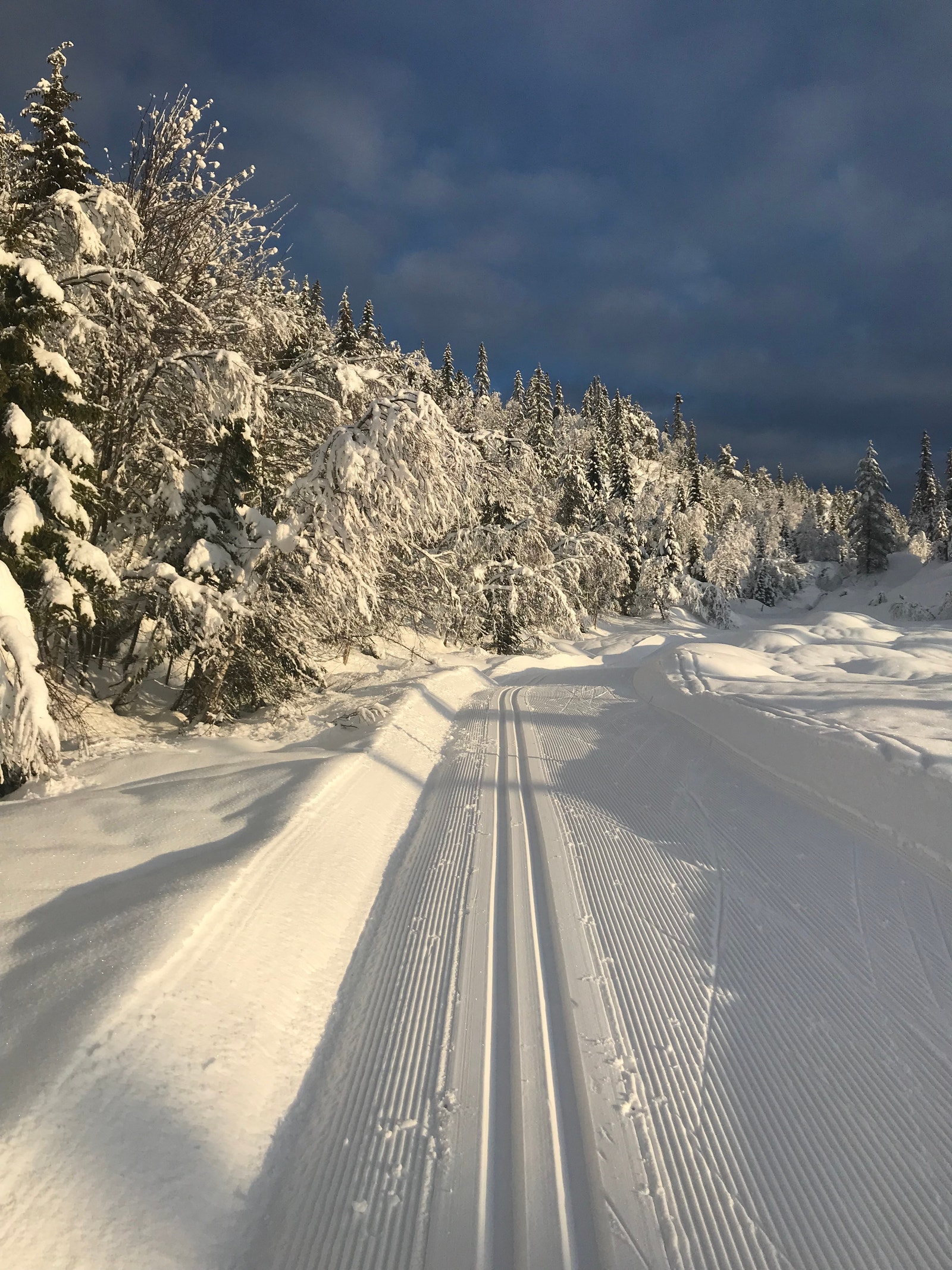 Milevis med perfekte skiløyper rett utenfor hytta Galleribilde