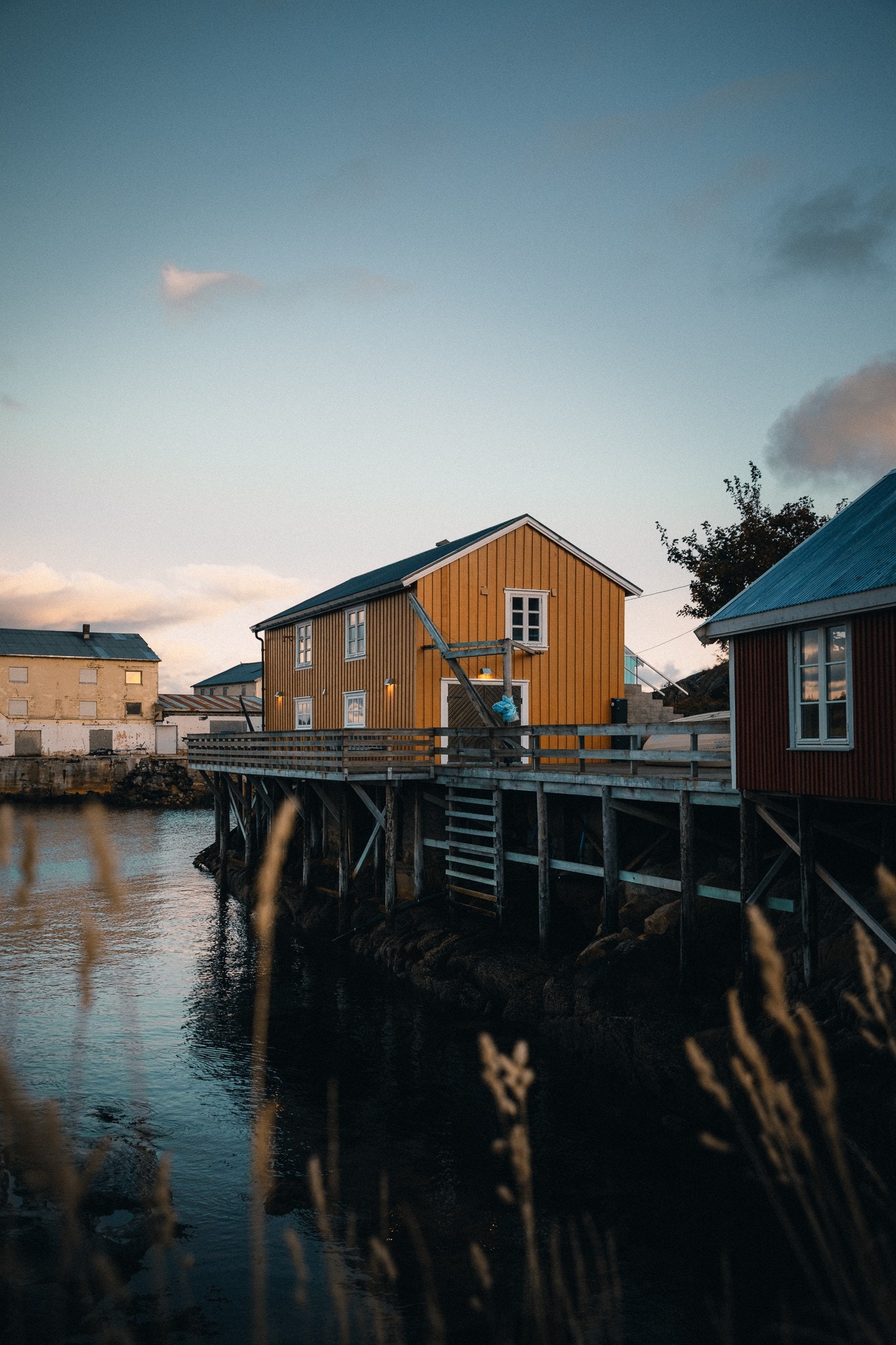 Fotograf: Adela Auriga Galleribilde