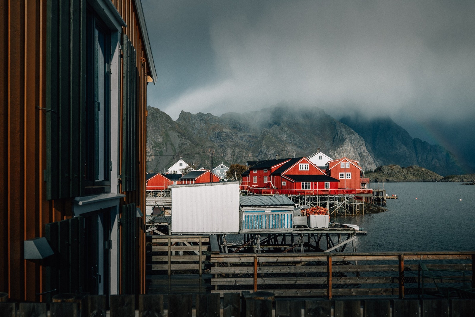 Fotograf: Adela Auriga Galleribilde