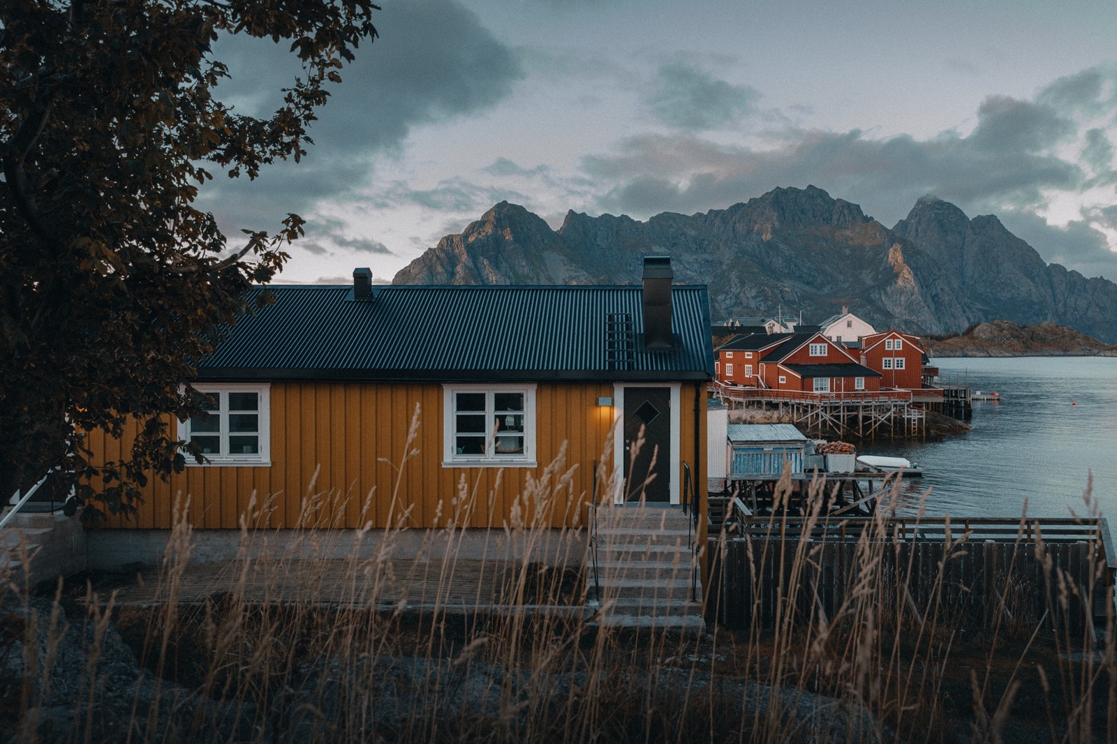 Fotograf: Adela Auriga Galleribilde