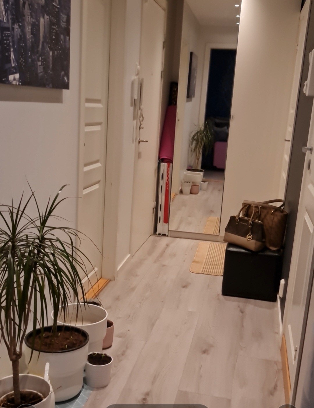 Gangen - fra stue Galleribilde