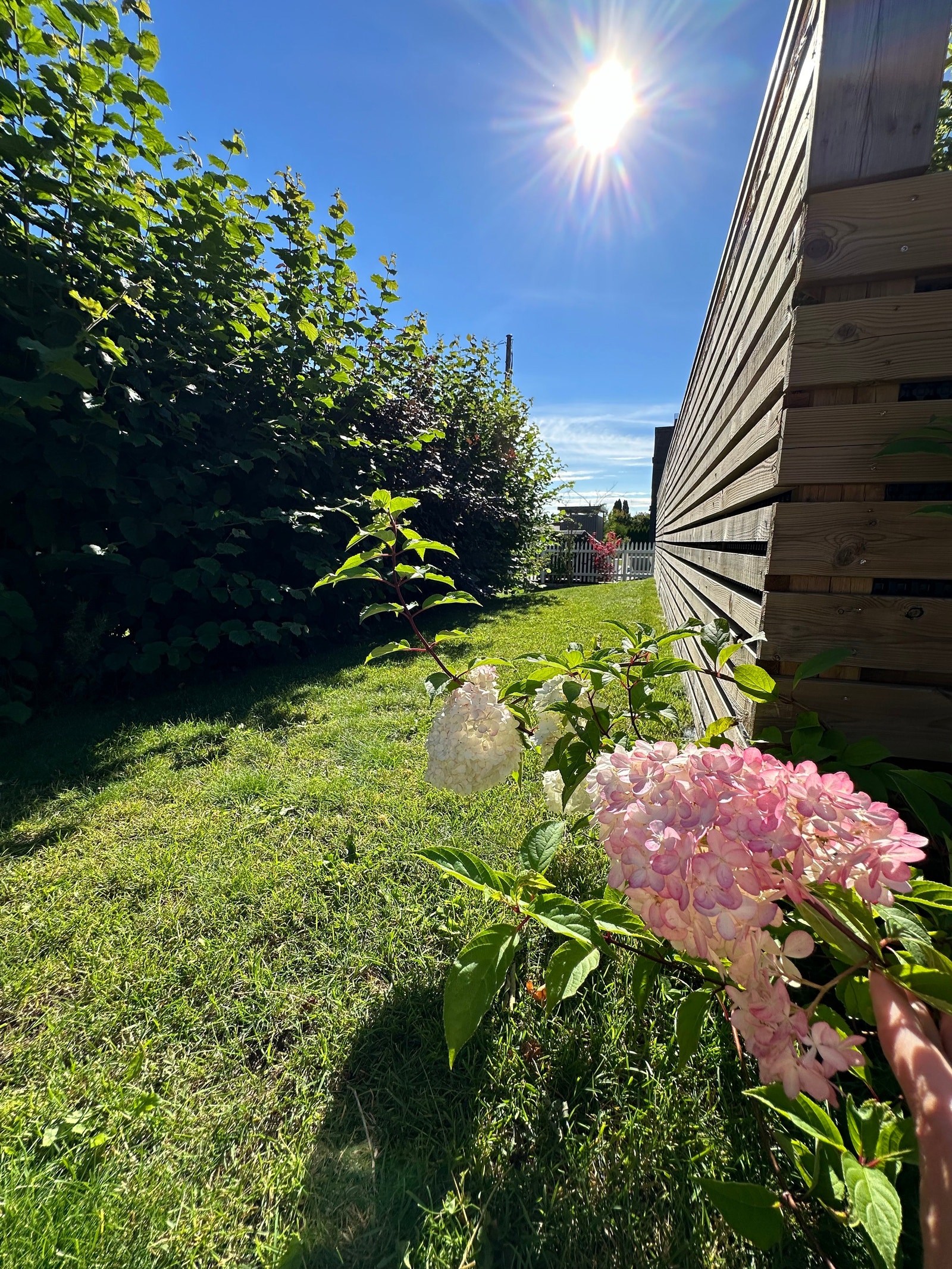 Mye plen og hageplass til aktiviteter Galleribilde