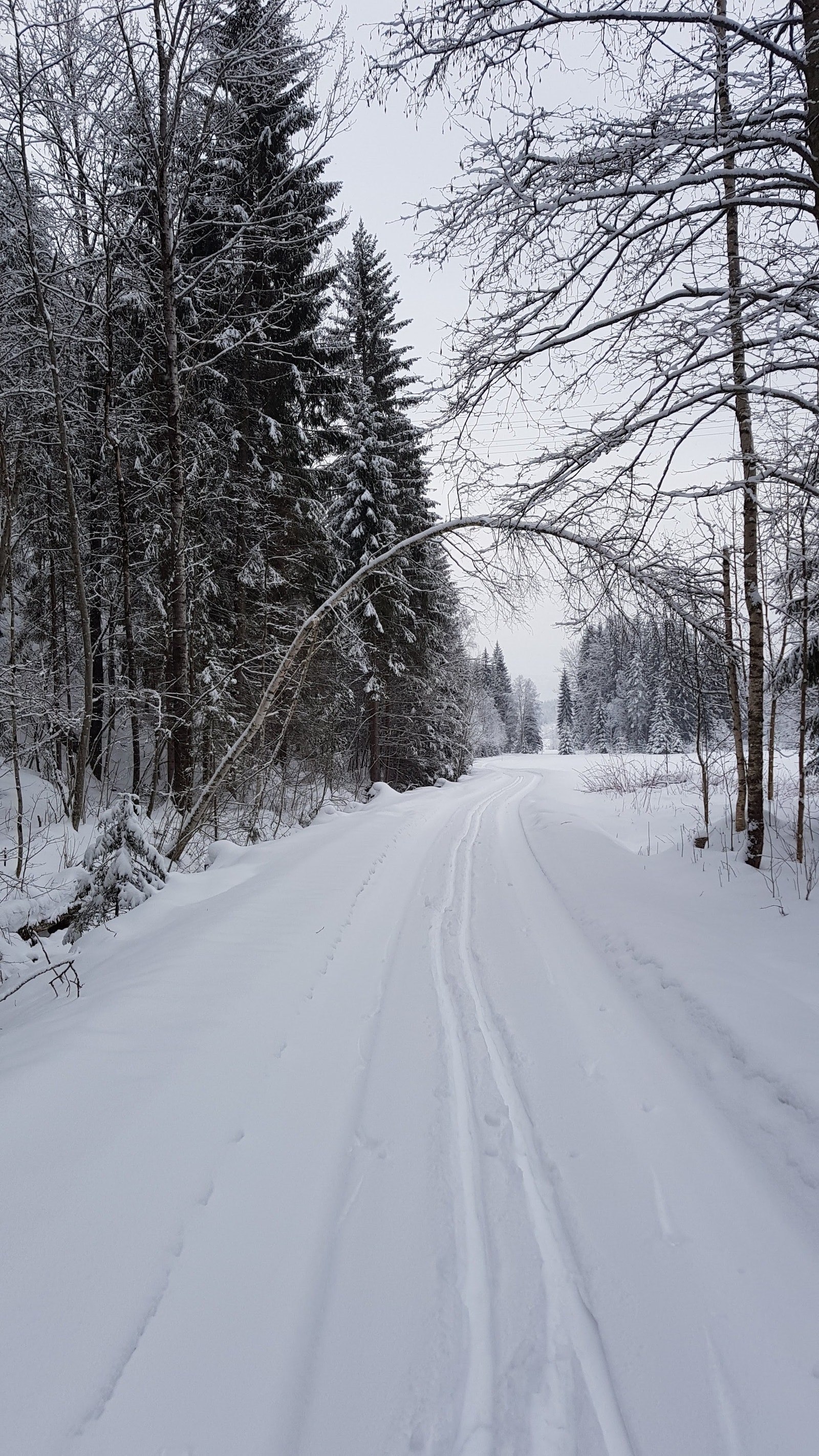 Normalt gode snøforhold Galleribilde
