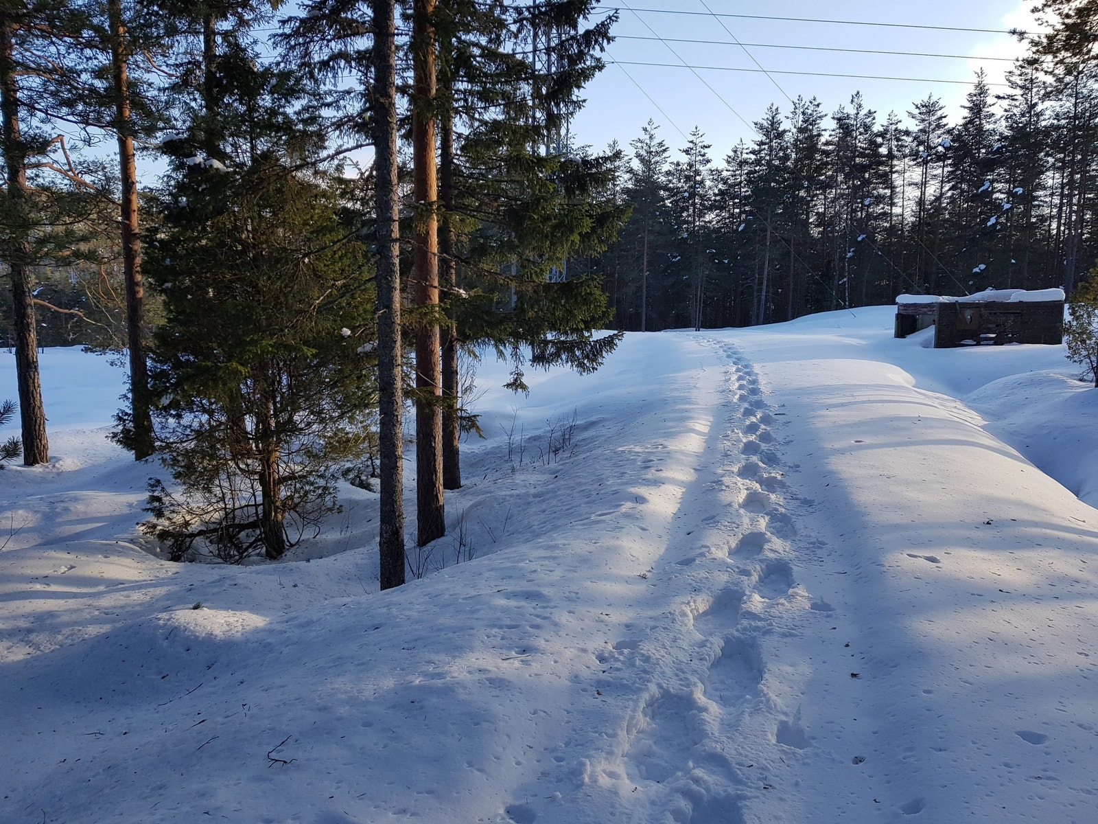På ski eller på truger Galleribilde